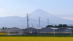 Mont Fuji. Vue du shinkansen