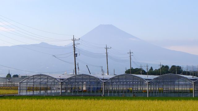 Mont Fuji. Vue du shinkansen