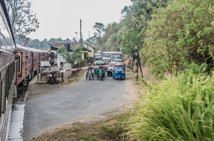 nuwara-eliya-25