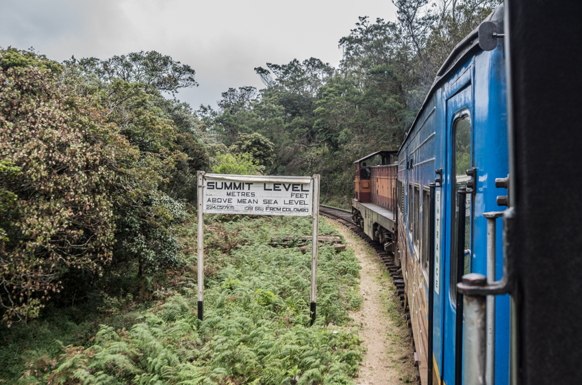 nuwara-eliya-32